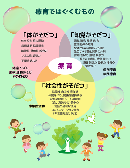 「体がそだつ」体を知る,粗大運動,微細運動,協調運動,敏捷性,柔軟性,瞬発力,リズム感,調整力,平衡感覚など「知覚がそだつ」視覚,聴覚,触覚,色 形,空間関係の知覚,全体と部分の関係の知覚,注目すべき物と背景の弁別,認知 理解力 推理 観察力,数える 時間の感覚 集中力,記憶 創造力 想像力 好奇心意欲など「体がそだつ」協調性 自主性 責任感,仲間を作り,関係を維持する,役割の理解 ルールの理解（良い意味での）競争心,言語の適切な使用コミュニケーション能力（非言語も含む）など