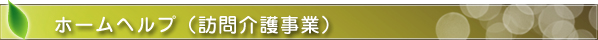 訪問介護事業（ホームヘルプ）